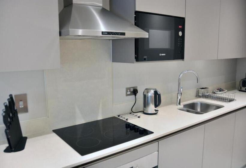 1ベッドルームのデラックスアパートメント, Sanctum Belsize Road