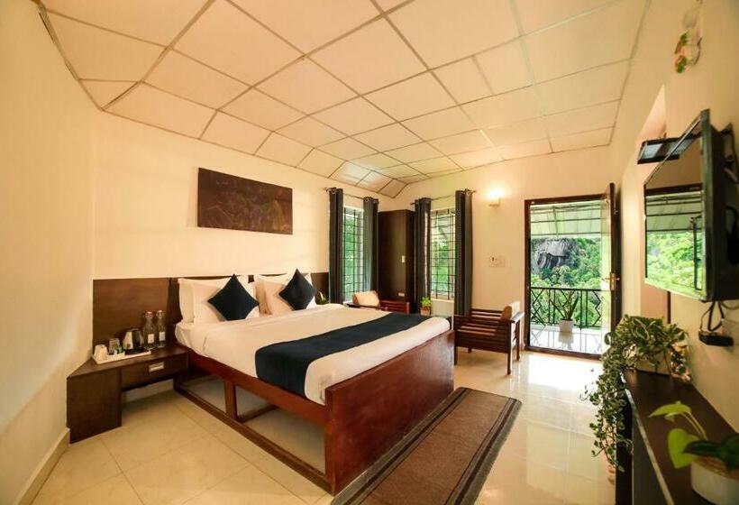 带观景的标准间, Golden Fern Resort