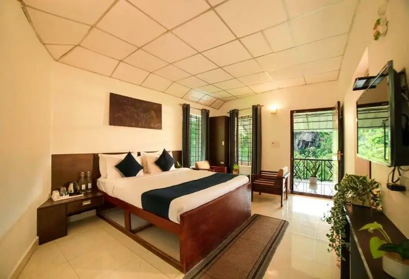 シングルデラックスルーム, Golden Fern Resort