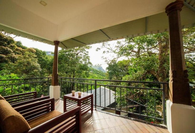 수피리어 룸 산전망, Golden Fern Resort