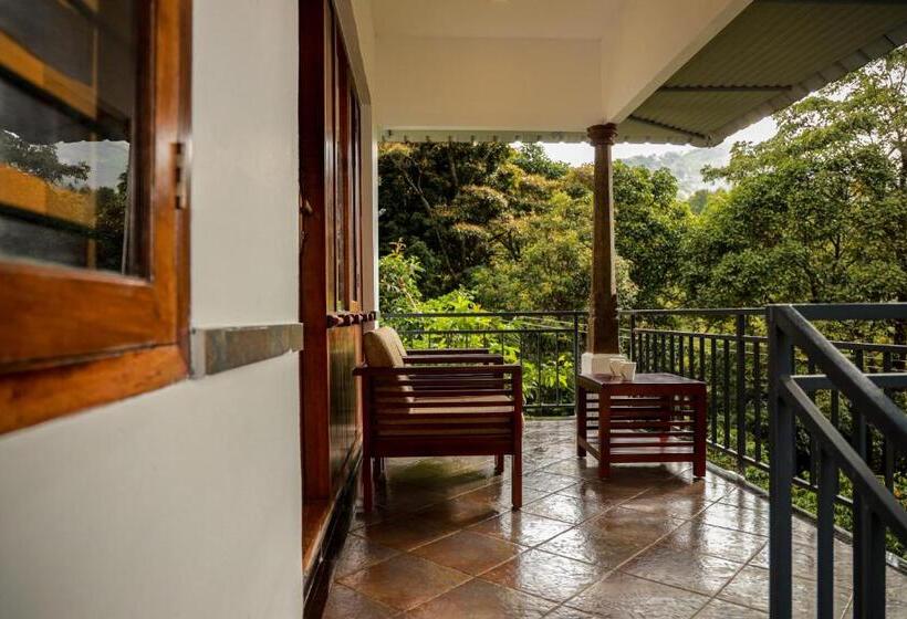 수피리어 룸 산전망, Golden Fern Resort
