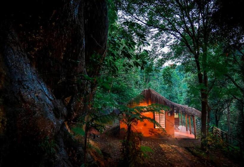 1间卧室的房子, Golden Fern Resort