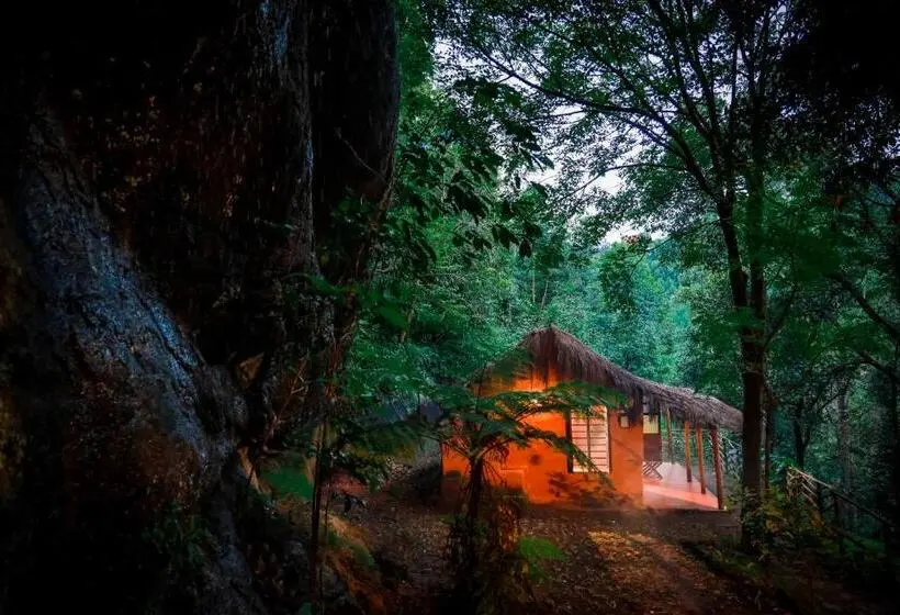 １ベッドルームハウス, Golden Fern Resort