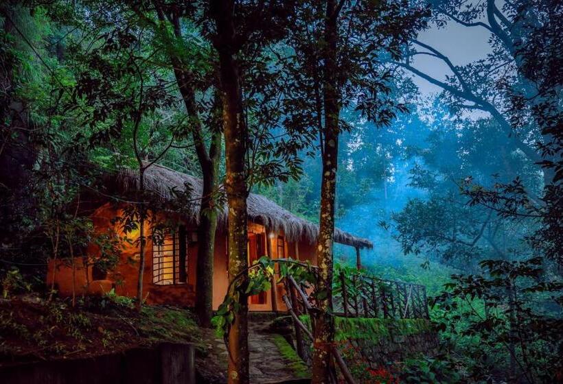 منزل غرفة نوم واحدة, Golden Fern Resort