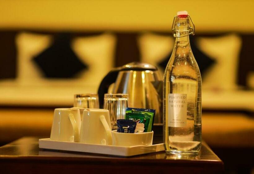 带观景的标准间, Golden Fern Resort