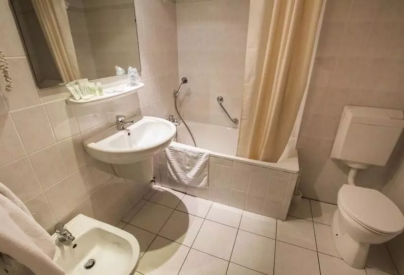 Standard Yhden Hengen Huone, Hôtel Albion
