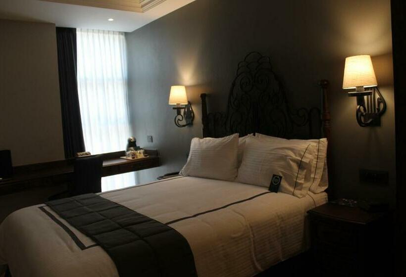 スタンダードルーム, Zocalo Central & Rooftop Mexico City