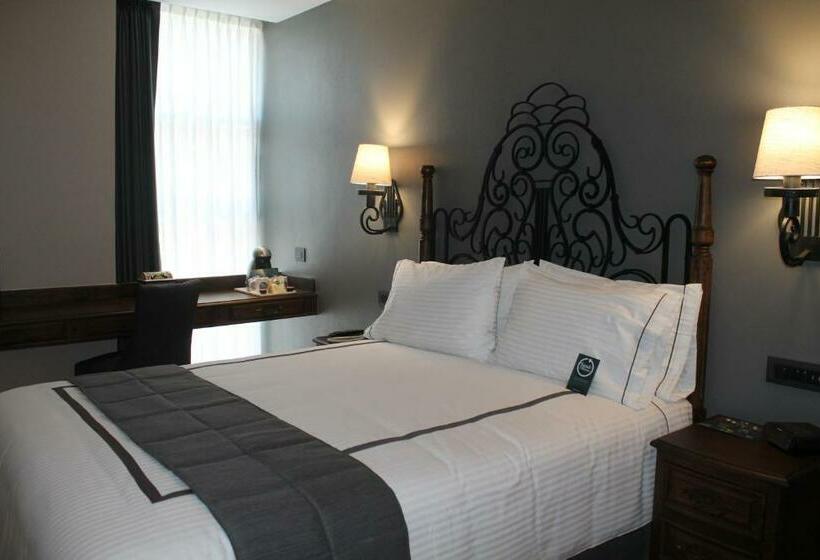 スタンダードルーム, Zocalo Central & Rooftop Mexico City