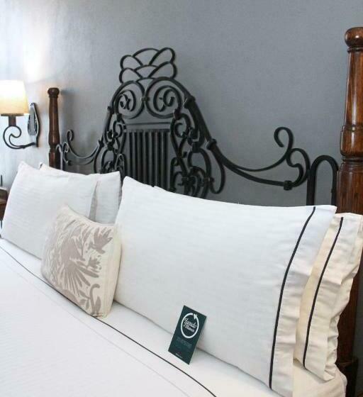 スタンダードルーム, Zocalo Central & Rooftop Mexico City