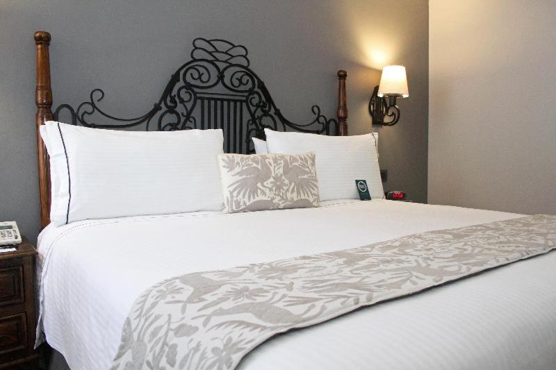 スタンダードルーム, Zocalo Central & Rooftop Mexico City