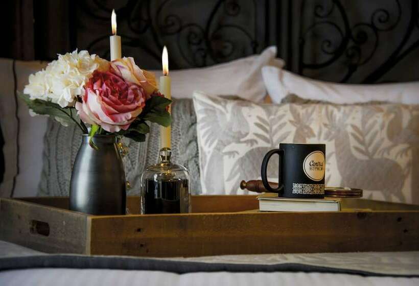 シティビュージュニアスイート, Zocalo Central & Rooftop Mexico City