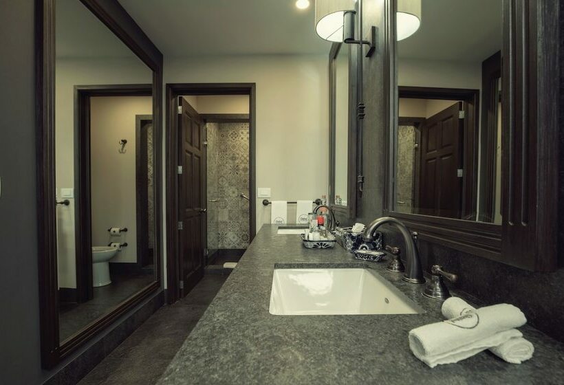 シティビュージュニアスイート, Zocalo Central & Rooftop Mexico City