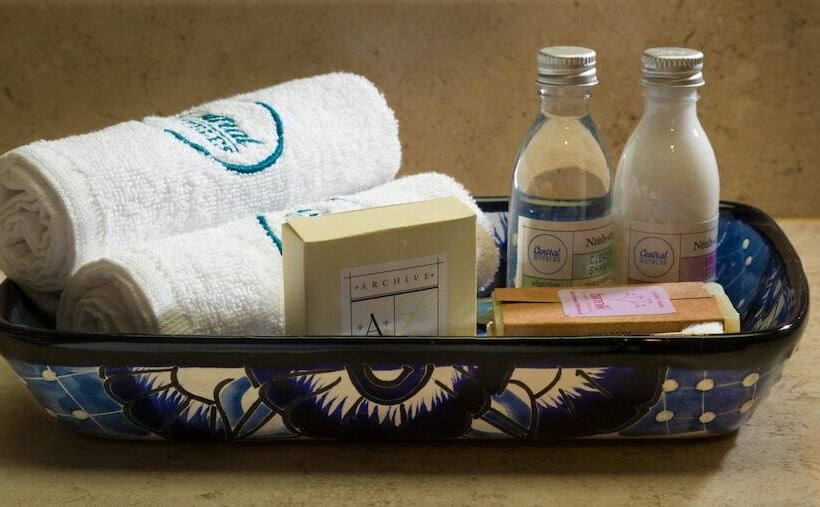 シティビュージュニアスイート, Zocalo Central & Rooftop Mexico City