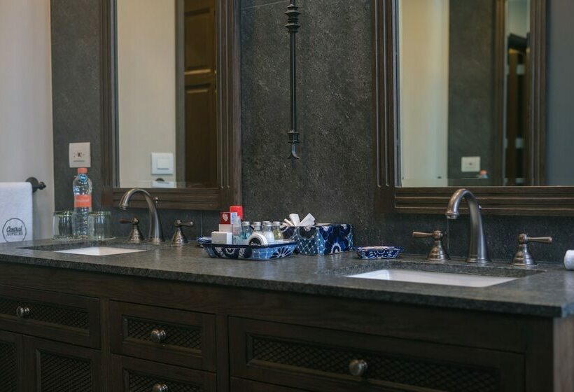 シティビュージュニアスイート, Zocalo Central & Rooftop Mexico City