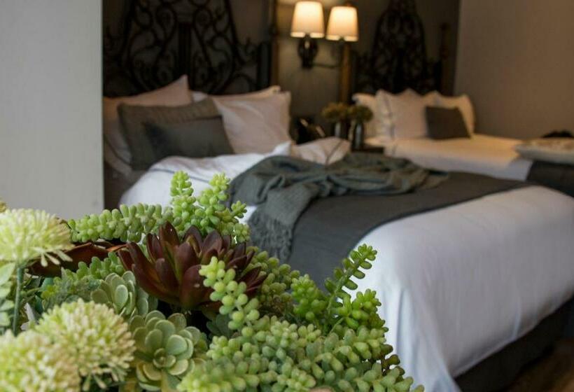 ファミリールーム, Zocalo Central & Rooftop Mexico City