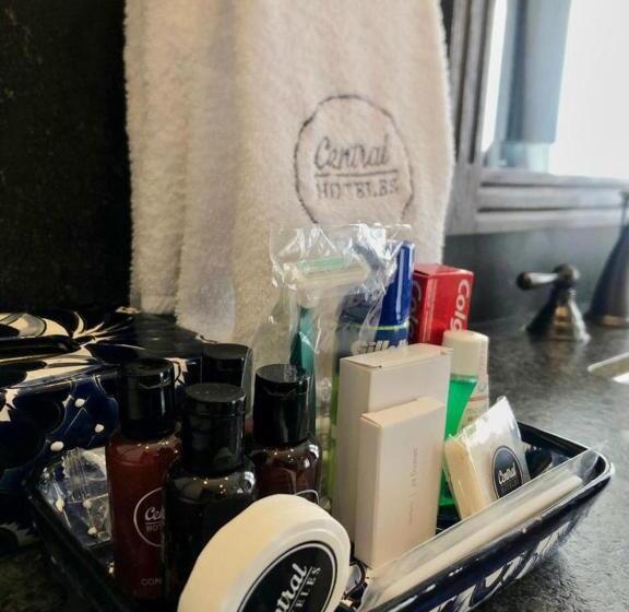 シティビュージュニアスイート, Zocalo Central & Rooftop Mexico City