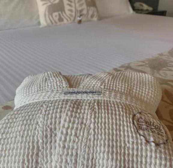 シティビューのスーペリアルーム, Zocalo Central & Rooftop Mexico City