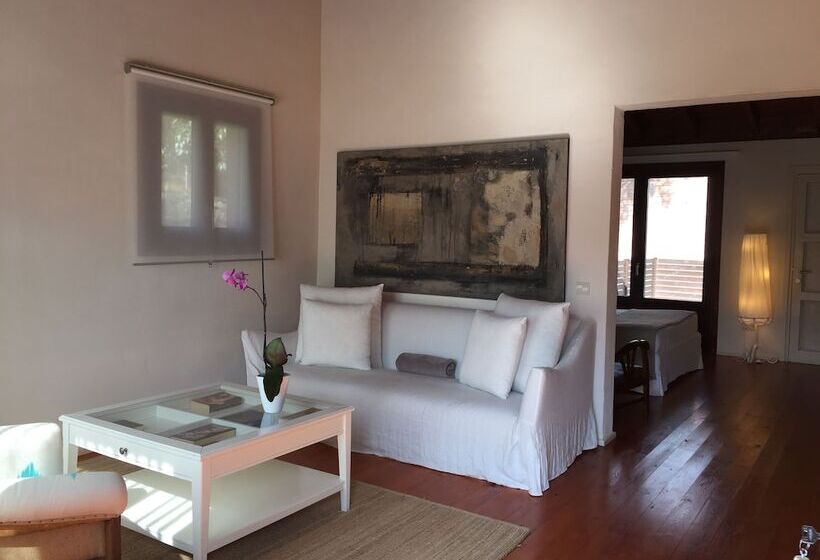 Полулюкс Одноместный с Террасой, Masia La Palma