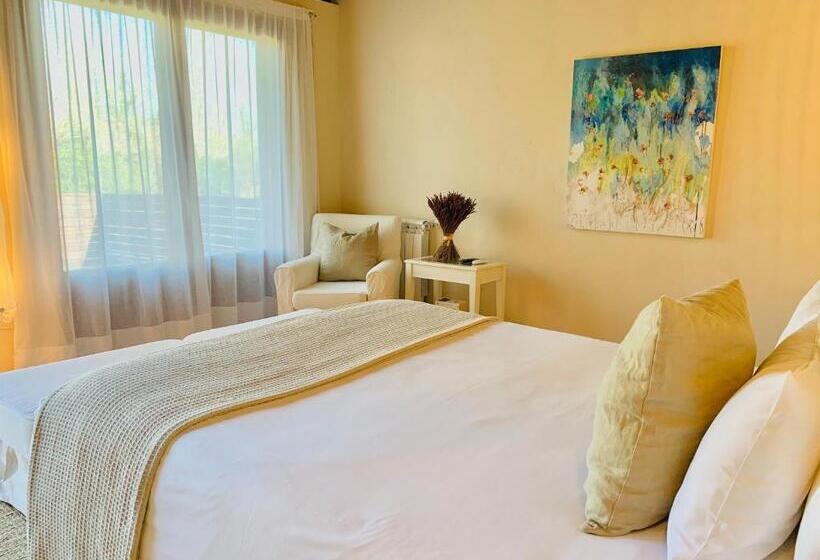 Номер Стандарт с Террасой, Masia La Palma