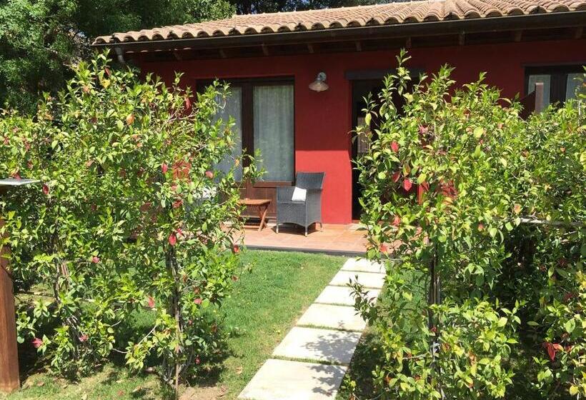 Полулюкс Одноместный с Террасой, Masia La Palma