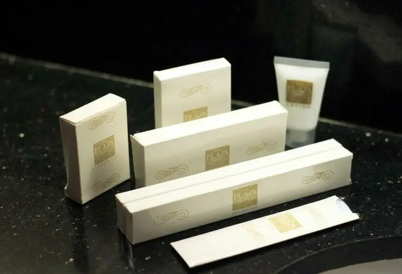 デラックスルーム, The Plaza Hotel Balanga City