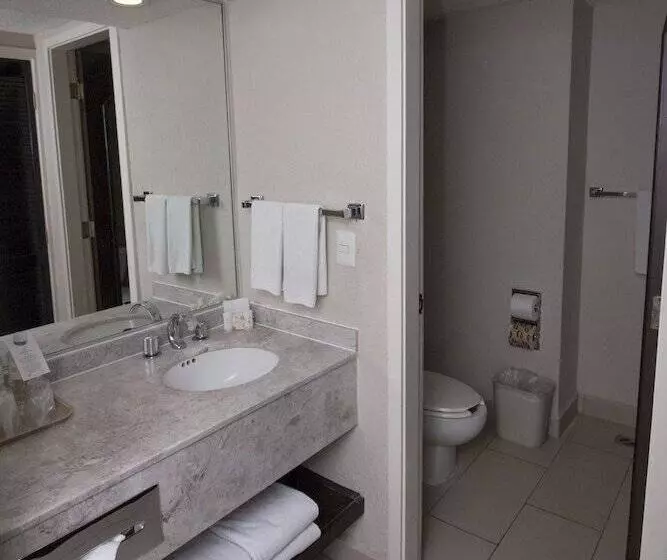 ２ダブルベッドのスタンダードルーム, Chn Hotel Monterrey Norte, Trademark Collection By Wyndham