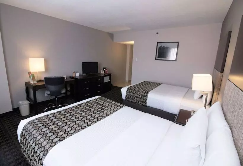 身障者適用スタンダードルーム, Chn Hotel Monterrey Norte, Trademark Collection By Wyndham