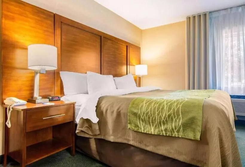 キングサイズベッドのスイートルーム, Comfort Inn & Suites Shawinigan