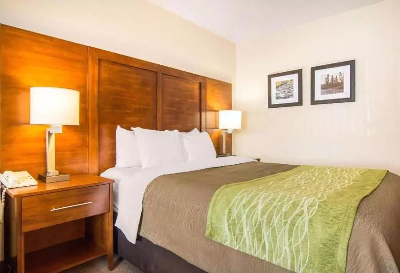 スタンダードルーム, Comfort Inn & Suites Shawinigan