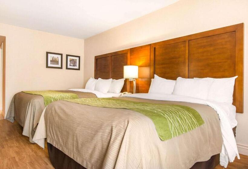 Номер Стандарт, Comfort Inn & Suites Shawinigan
