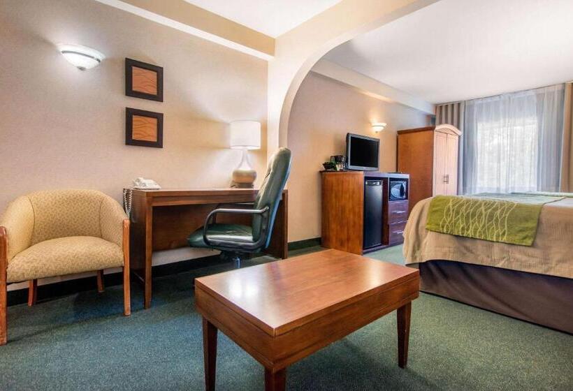 Люкс, Comfort Inn & Suites Shawinigan