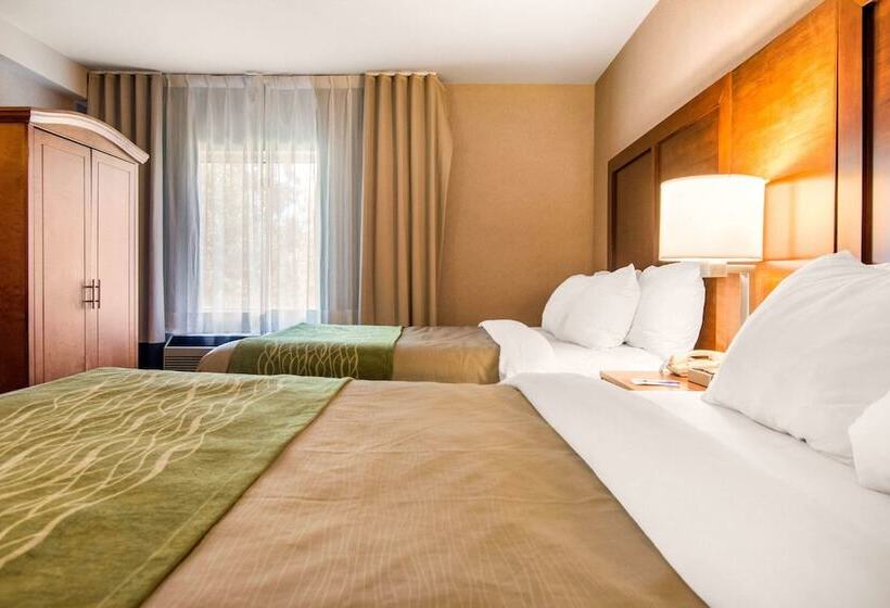 Люкс, Comfort Inn & Suites Shawinigan