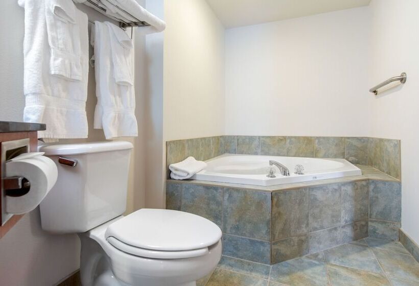 Люкс, Comfort Inn & Suites Shawinigan