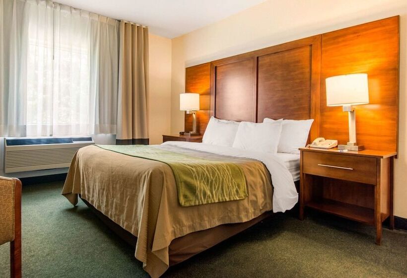 Люкс, Comfort Inn & Suites Shawinigan