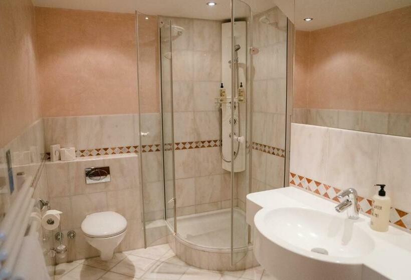 חדר סטנדרט, Landhotel Hirschen