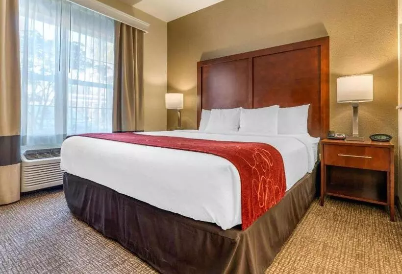 キングサイズベッドのスイートルーム, Comfort Suites Downtown Sacramento