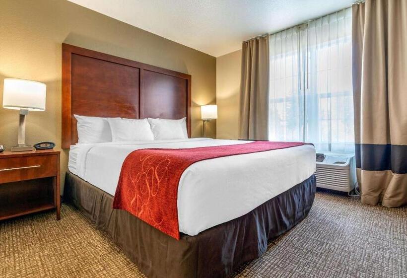 جناح سرير كينج, Comfort Suites Downtown Sacramento