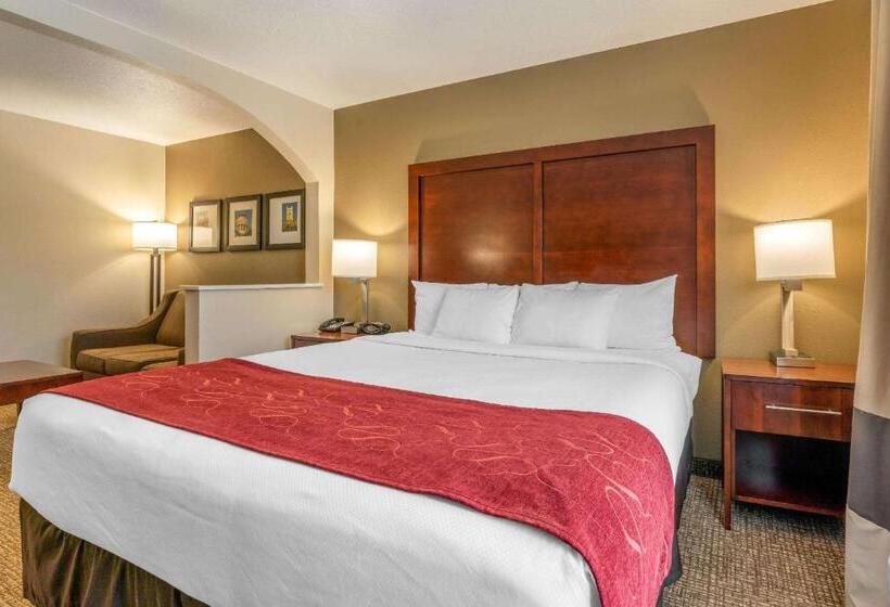 Люкс Кровать Кинг, Comfort Suites Downtown Sacramento