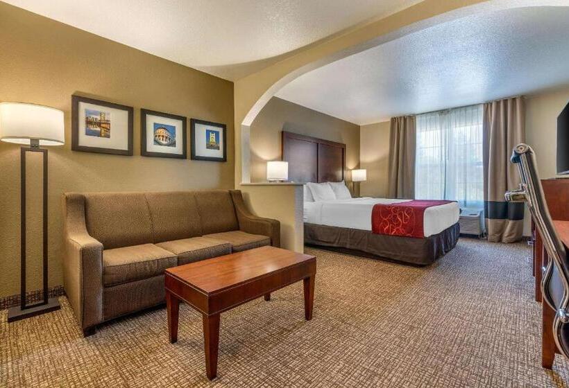 جناح سرير كينج, Comfort Suites Downtown Sacramento