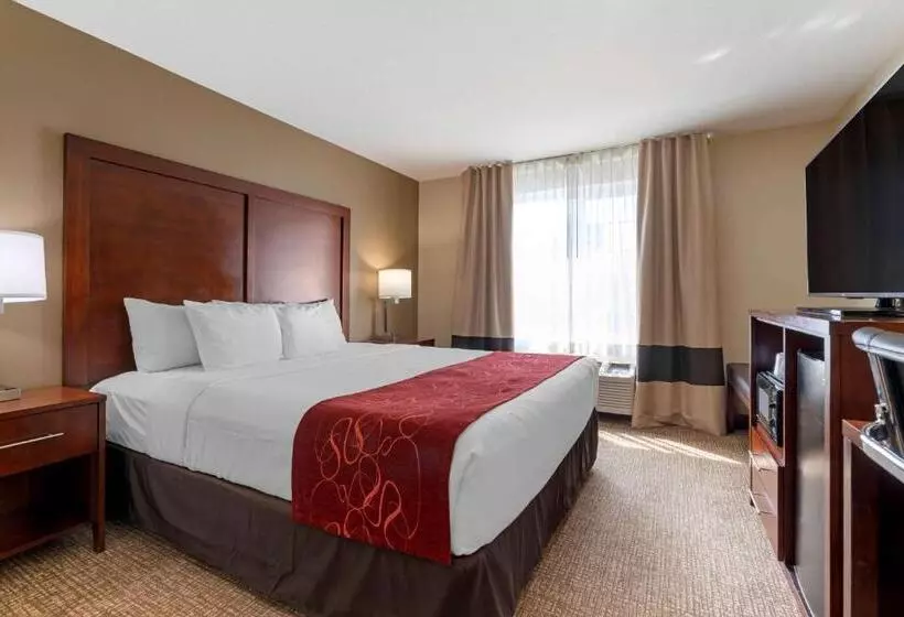 キングサイズベッドのスタンダードルーム, Comfort Suites Downtown Sacramento