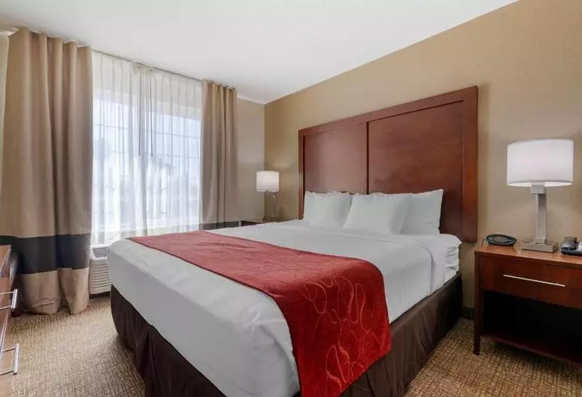 キングサイズベッドのスタンダードルーム, Comfort Suites Downtown Sacramento