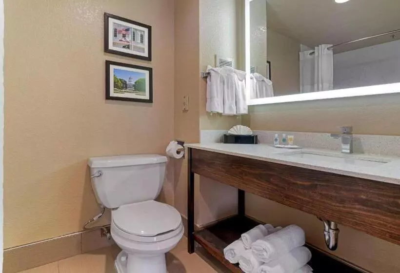 キングサイズベッドのスタンダードルーム, Comfort Suites Downtown Sacramento