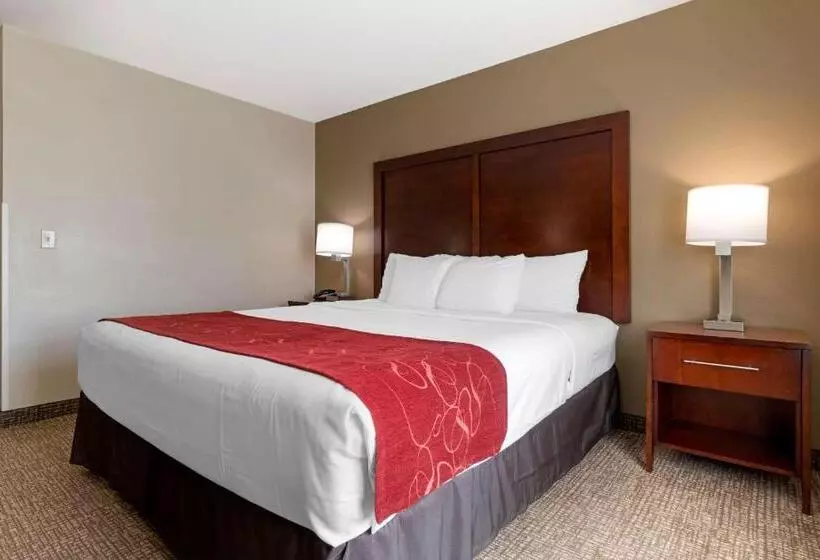 キングサイズベッドのスタンダードルーム, Comfort Suites Downtown Sacramento