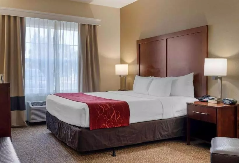 キングサイズベッドのスタンダードルーム, Comfort Suites Downtown Sacramento