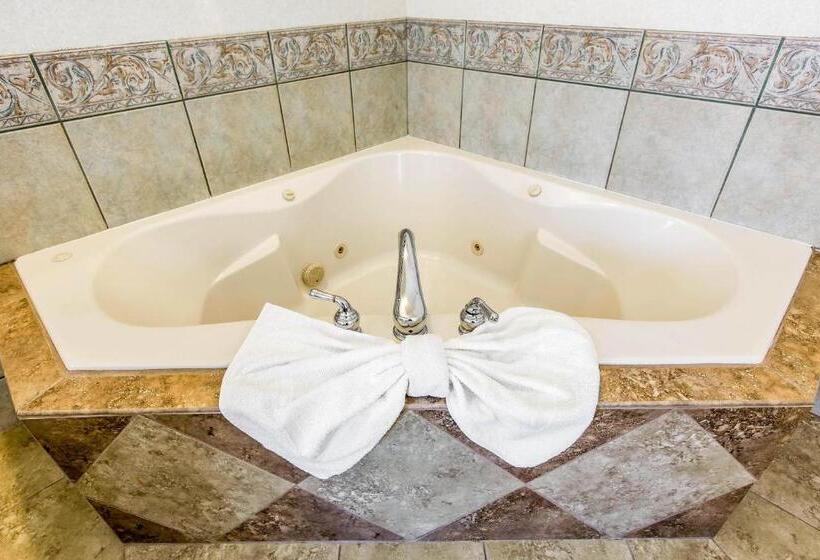 جناح سرير كينج, Comfort Suites Downtown Sacramento