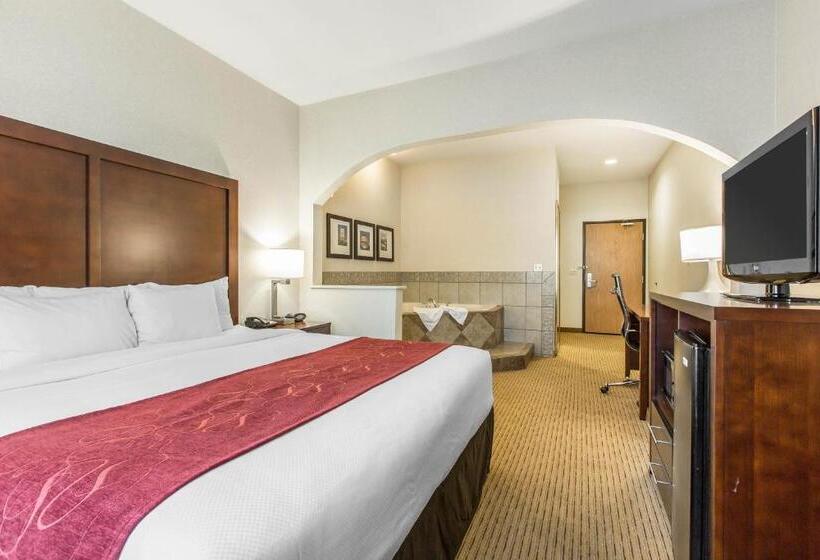 جناح سرير كينج, Comfort Suites Downtown Sacramento