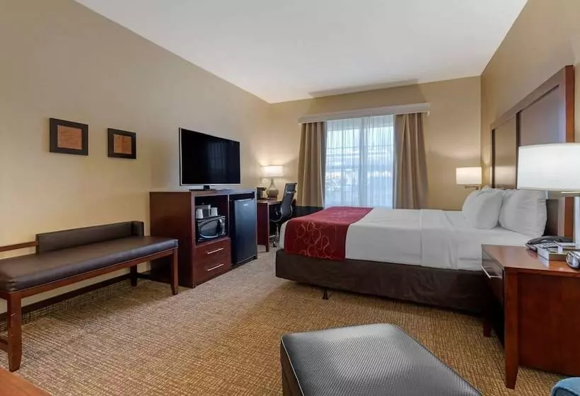 身障者適用スイートルーム, Comfort Suites Downtown Sacramento