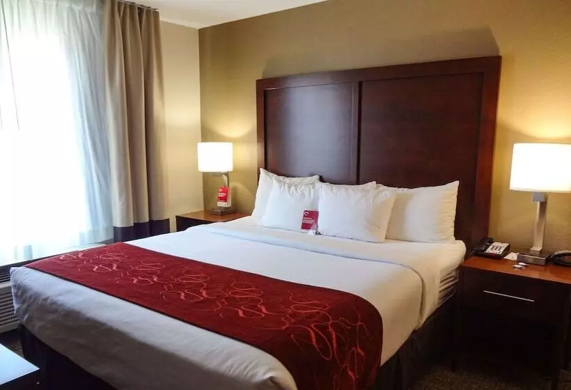 身障者適用スイートルーム, Comfort Suites Downtown Sacramento