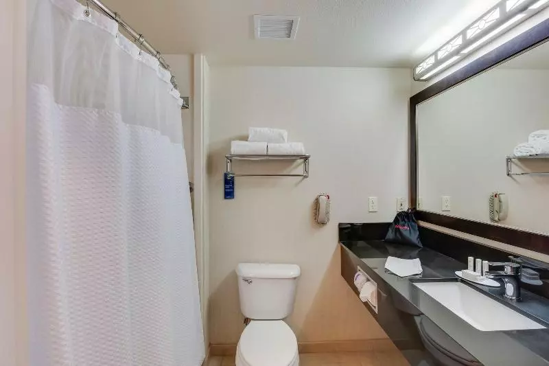 اتاق استاندارد با تخت بزرگ, Fairfield Inn & Suites By Marriott San Francisco Airport