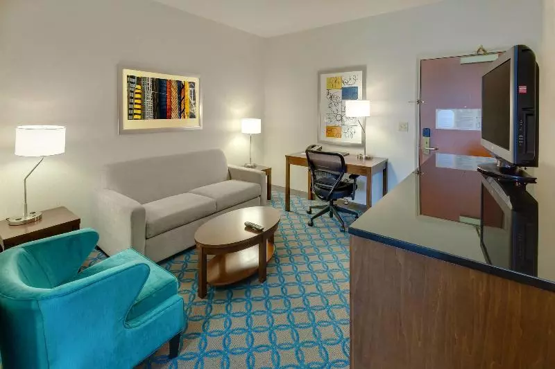 اتاق استاندارد با تخت بزرگ, Fairfield Inn & Suites By Marriott San Francisco Airport